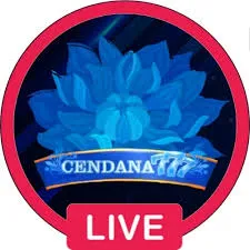 CENDANA777 - Pertarungan Seru dengan Aksi Memikat